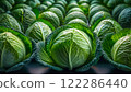 Fresh vegetable broccoli 122286440