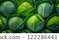 Fresh vegetable broccoli 122286441