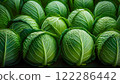 Fresh vegetable broccoli 122286442