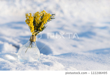 Yellow flowers in a lightbulb vase placed on snow in a sunny winter scene. Yellow flowers in a lightbulb vase placed on snow in a sunny winter scene. 122286495