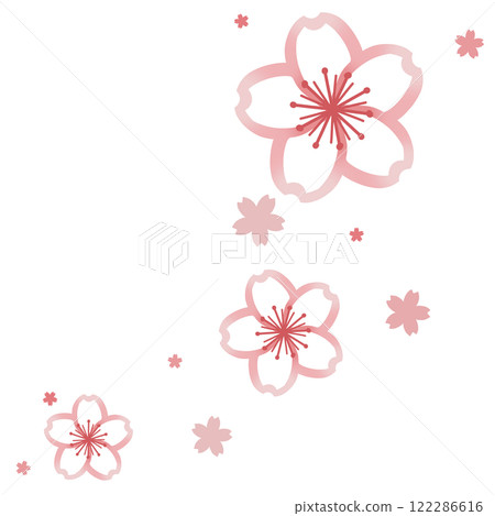 兩種簡單的粉紅色櫻花 122286616