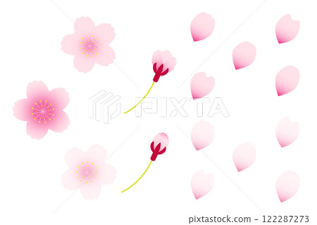 cherry blossom petals illustration material cherry blossom petals illustration material 122287273