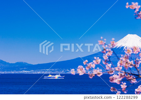 [Shizuoka Prefecture] Suruga Bay Ferry heading to Toi Port where Kawazu cherry blossoms are in bloom with Mt. Fuji in the background 122288299