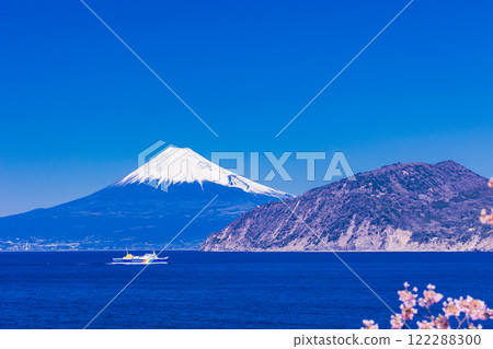 【靜岡縣】駿河灣渡輪開往土肥港,河津櫻花盛開,富士山為背景 【靜岡縣】駿河灣渡輪開往土肥港,河津櫻花盛開,富士山為背景 122288300