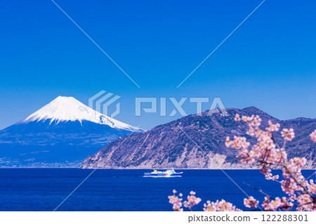 [Shizuoka Prefecture] Suruga Bay Ferry heading to Toi Port where Kawazu cherry blossoms are in bloom with Mt. Fuji in the background 122288301
