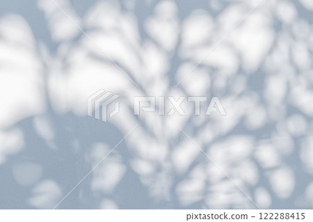 Abstract natural tree leaves shadow on white wall background Abstract natural tree leaves shadow on white wall background 122288415