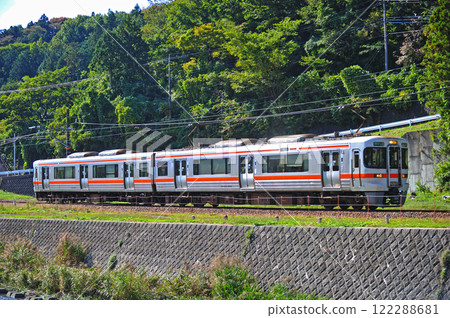 Gotemba Line Gotemba-Ashigara JR Central 313 series V4 train (Shizuoka) 122288681