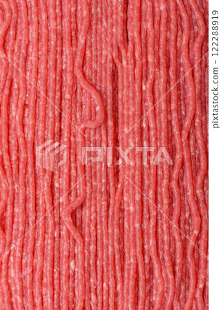 Raw ground beef or pork with salt, spices, herbs and tomatoes 122288919