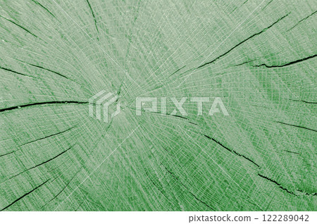 Light green wooden background. Background for banner 122289042