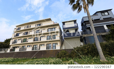 Kitashimoura Daffodil Road Kitashimoura Daffodil Road 122290167