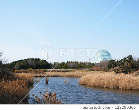 Scenery with a pond | Kasai Rinkai Park 122290366