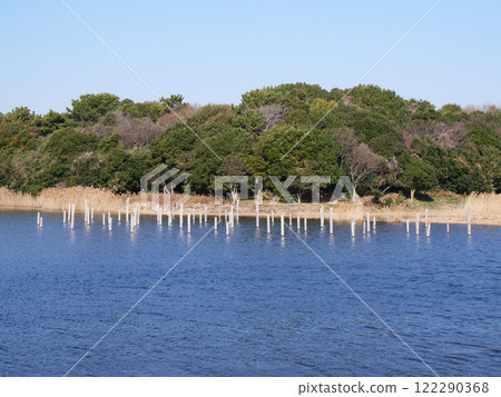 Scenery with a pond | Kasai Rinkai Park Scenery with a pond | Kasai Rinkai Park 122290368