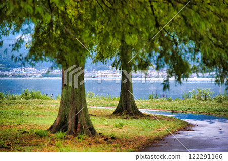 Lake Biwa seen beyond the trees Lake Biwa seen beyond the trees 122291166