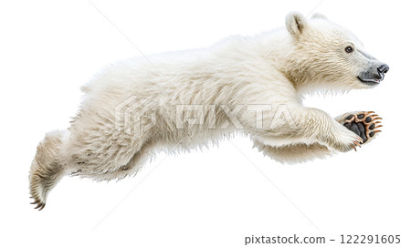Polar bear leaps in mid-air showcasing agility and strength in a side view against a simple background Polar bear leaps in mid-air showcasing agility and strength in a side view against a simple background 122291605