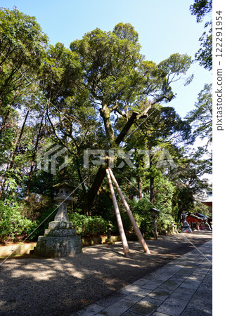Kashima Jingu Shrine entrance 122291954