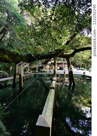 鹿島神社御手洗池塘 鹿島神社御手洗池塘 122292240