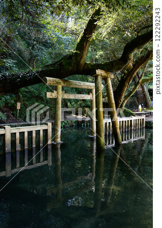 Kashima Shrine Mitarai pond Kashima Shrine Mitarai pond 122292243
