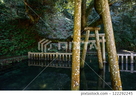 鹿島神社御手洗池塘 鹿島神社御手洗池塘 122292245