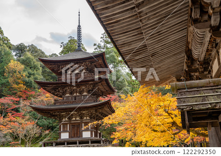 Koto Sanzan, Saimyoji Temple, National Treasure Three-story Pagoda, Autumn Leaves, Autumn Image 122292350