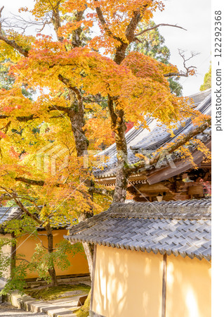 江東三山、西明寺、本坊表門、秋葉（紅葉）、秋天的形象 122292368