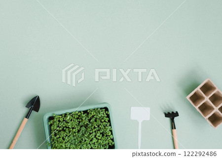 Green plant arugula is in small box with white label. Trowel and spade on table 122292486