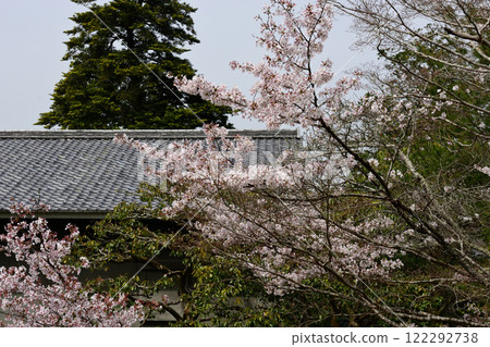 修學院離宮 田園風光與櫻花 122292738
