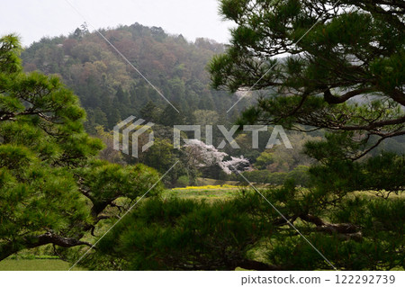 修學院離宮 田園風光與櫻花 122292739