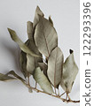 A close-up of dried leaves on a branch with visible veins and earthy tones against a clean white background. Highlighting calm and reflection, it's ideal for nature, seasonal themes, and minimalistic  122293396
