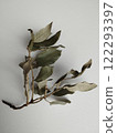 A delicate branch with dried leaves against a light background. The intricate veins, earthy tones, and natural textures evoke serenity and seasonal charm, making it perfect for nature, autumn, and min 122293397