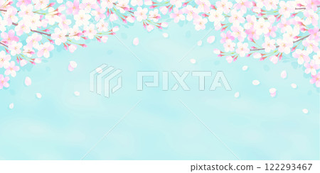 A refreshing background illustration of cherry blossoms and blue sky A refreshing background illustration of cherry blossoms and blue sky 122293467