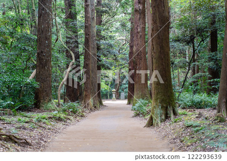通往鹿島神社拱心石的道路 122293639