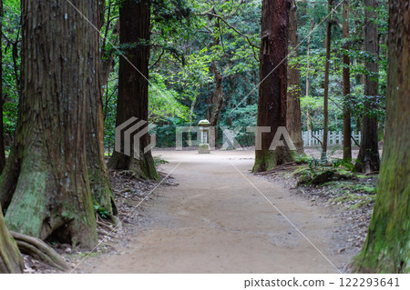 通往鹿島神社拱心石的道路 通往鹿島神社拱心石的道路 122293641