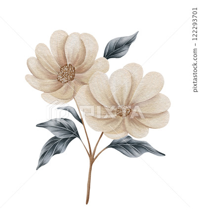 Watercolor winter floral design. Wedding flowers designer element set 122293701