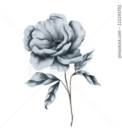 Watercolor winter floral design. Wedding flowers designer element set Watercolor winter floral design. Wedding flowers designer element set 122293702