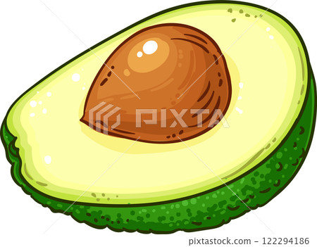 Avocado Fruit with Seed Colored Detailed Illustration 122294186