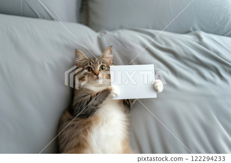 Cute cat with blank card on bed at home. Space for text 122294233