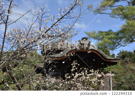 平安神宮東新田梅與橋田（京都市左京區） 122294310