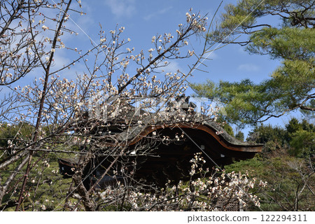Heian Shrine Toshinden Plum Blossoms and Hashiden (Sakyo Ward, Kyoto City) Heian Shrine Toshinden Plum Blossoms and Hashiden (Sakyo Ward, Kyoto City) 122294311