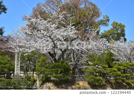 史蹟 大覺寺御所遺址 史蹟 大覺寺御所遺址 122294440