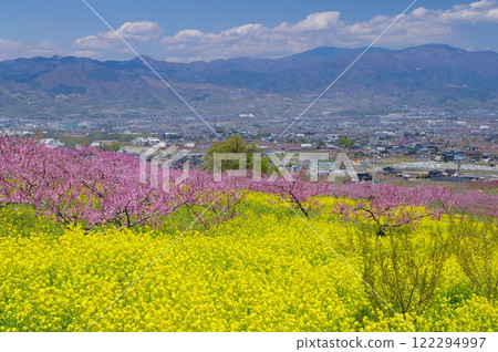 Fuefuki Shangri-La in Spring: Peach blossoms and rape blossoms in full bloom 122294997