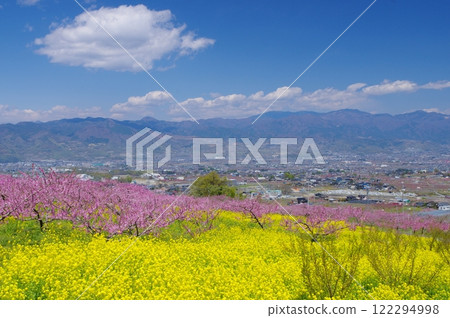 Fuefuki Shangri-La in Spring: Peach blossoms and rape blossoms in full bloom Fuefuki Shangri-La in Spring: Peach blossoms and rape blossoms in full bloom 122294998