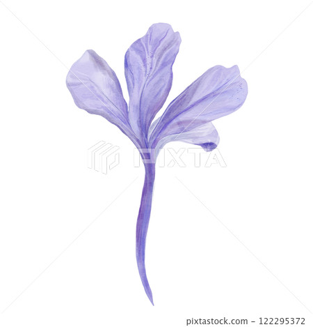 Hand drawn watercolor Floral decorative flower. Plumbago auriculata .Cape Leadwort. drawings. isolated on white background. Botanical Illustrations. 122295372
