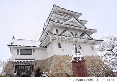 Snow scene of Sunomata Ichiya Castle (Ogaki City, Gifu Prefecture) 122295425