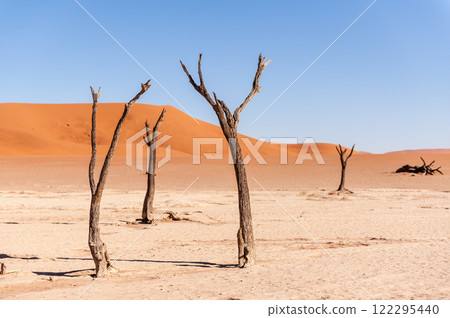 Barren landscape near Deadvlei and sossusvlei 122295440