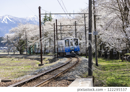 越前鐵道與櫻花樹 越前鐵道與櫻花樹 122295537
