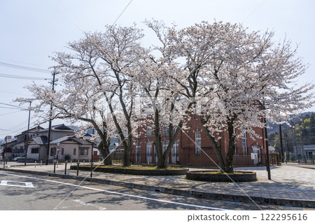 Cherry blossoms in front of Echizen Railway Eiheijiguchi Station Cherry blossoms in front of Echizen Railway Eiheijiguchi Station 122295616