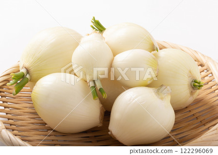 Onion Onion 122296069