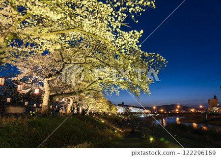 One of Japan's Top 100 Cherry Blossom Spots: Cherry Blossoms at Night along the Asuwa River One of Japan's Top 100 Cherry Blossom Spots: Cherry Blossoms at Night along the Asuwa River 122296169