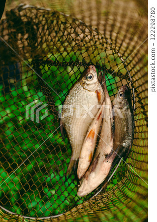 Fishing catch, village fishing 122298780