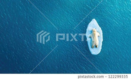 Polar Bear Stranded on Small Ice Floe 122299335